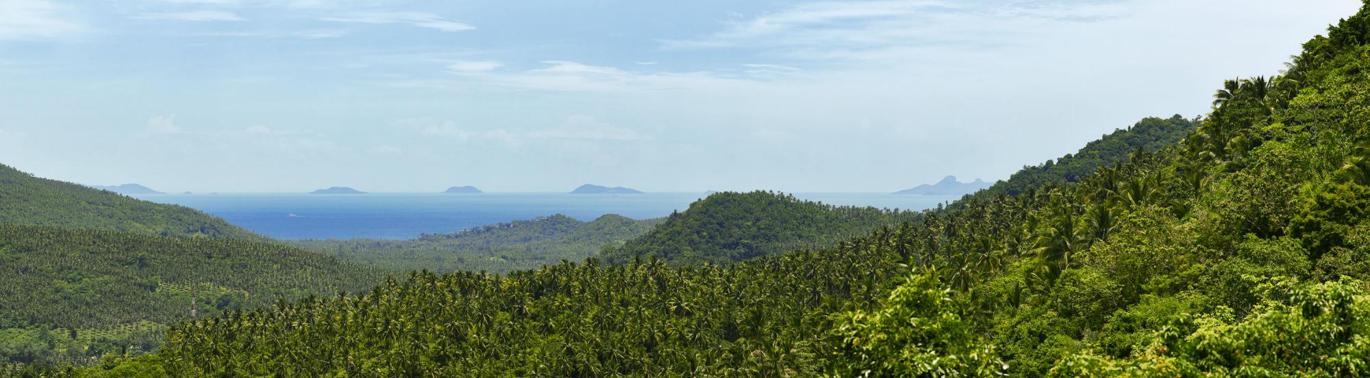 thailand4